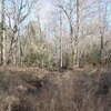 Photo of Mobile Home Lot