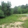 Mobile Home Lot for Sale: GA, FRANKLIN - Land for sale., Franklin, GA