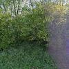 Mobile Home for Sale: 3 Bed 2 Bath 1984 Mobile Home