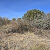 Photo of Mobile Home Lot