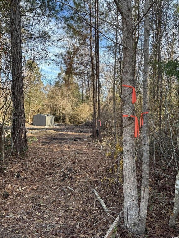 Photo of Mobile Home Lot