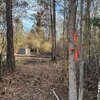 Photo of Mobile Home Lot