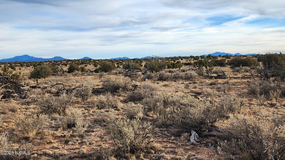 Photo of Mobile Home Lot