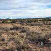 Photo of Mobile Home Lot