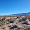 Photo of Mobile Home Lot