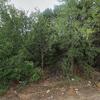 Mobile Home for Sale: 3 Bed 2 Bath 2022 Mobile Home