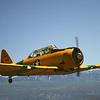 Aircraft for Sale: NORTH AMERICAN SNJ-6