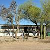 Mobile Home for Sale: 3 Bed 2 Bath 1980 Mobile Home