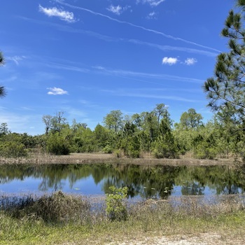Thumbnail of RV lot