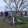 Mobile Home for Sale: 2 Bed 2 Bath 1987 Mobile Home