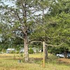 Mobile Home for Sale: 5 Bed 2 Bath 1998 Mobile Home