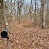 Photo of Mobile Home Lot