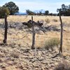 Photo of Mobile Home Lot