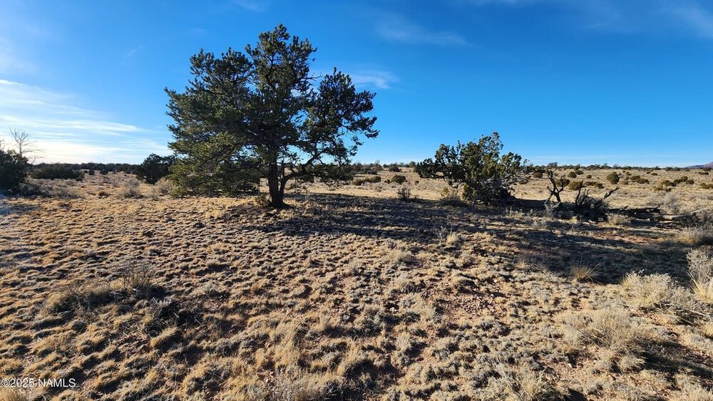 Photo of Mobile Home Lot
