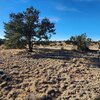 Photo of Mobile Home Lot