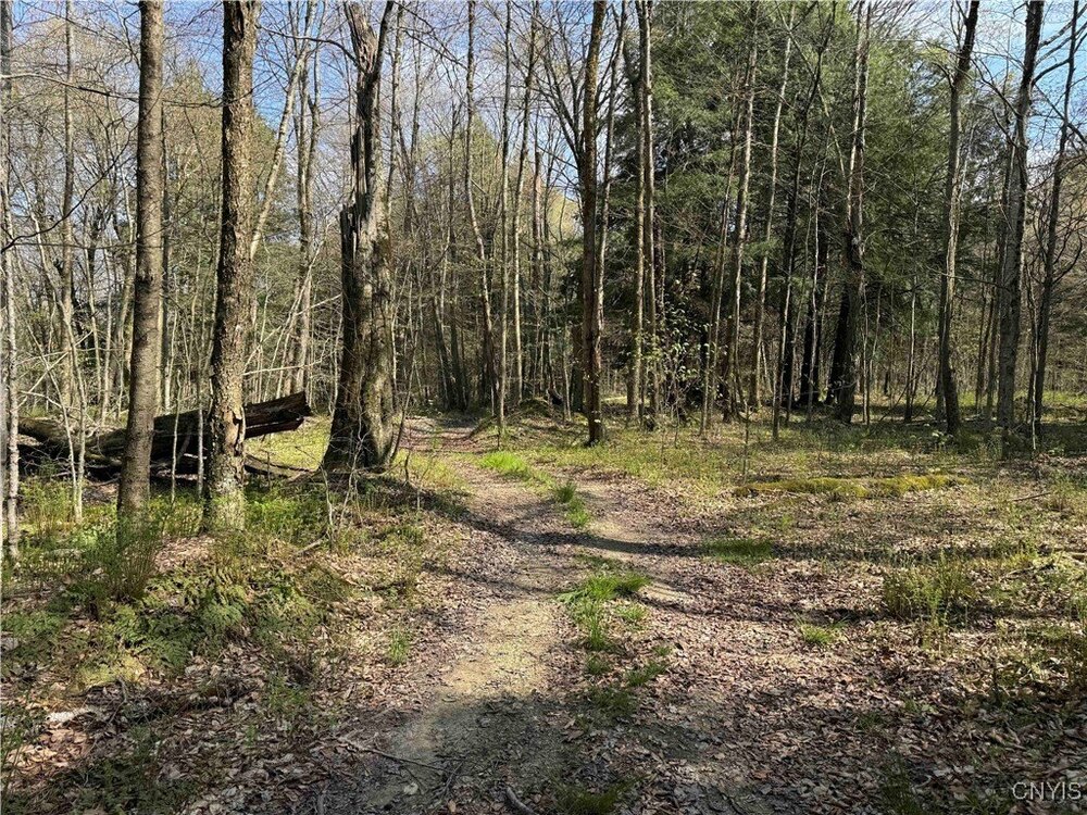 Photo of Mobile Home Lot
