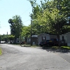 Mobile Home Park: Lyndon Lawn MHC - 55+ Adult Community, Central Square, NY