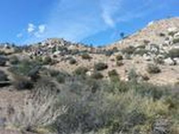 Photo of Mobile Home Lot