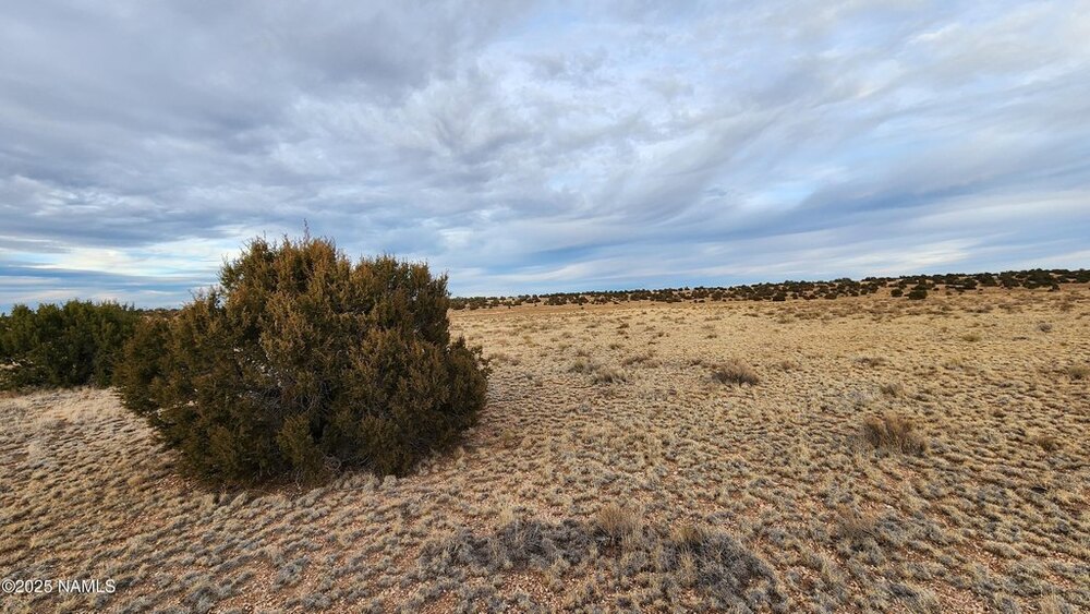 Photo of Mobile Home Lot