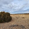 Photo of Mobile Home Lot