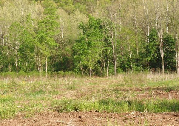 Photo of Mobile Home Lot