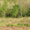 Mobile Home Lot for Rent: Near Hunting/Fishing/Skiing/Hiking/Civil War , Valley Head, WV