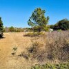 Photo of Mobile Home Lot