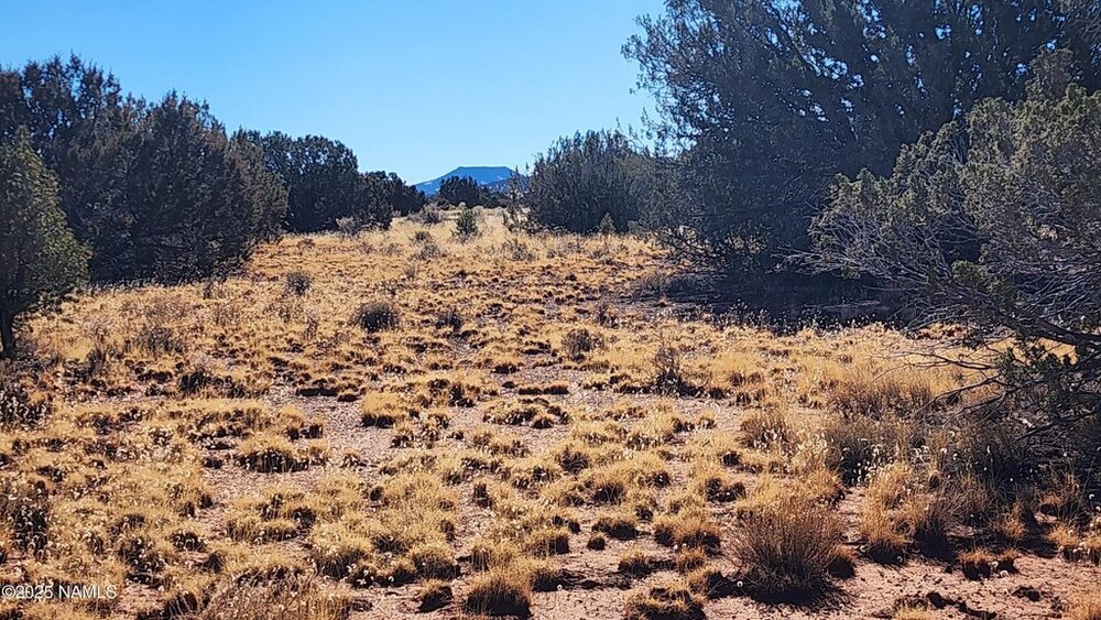 Photo of Mobile Home Lot