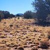 Photo of Mobile Home Lot