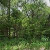 Mobile Home for Sale: 3 Bed 2 Bath 1998 Mobile Home