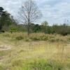 Mobile Home for Sale: 1999 Mobile Home