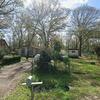 Mobile Home for Sale: 1 Bed 1 Bath 1978 Mobile Home