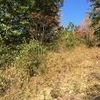 Photo of Mobile Home Lot