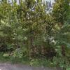 Mobile Home for Sale: 3 Bed 2 Bath 2020 Mobile Home