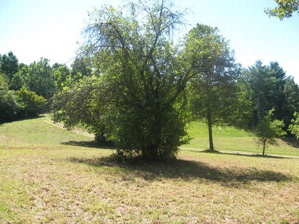 Photo of RV Lot