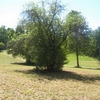 Photo of RV Lot