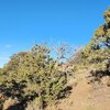 Photo of Mobile Home Lot