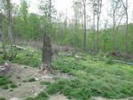 Photo of Mobile Home Lot