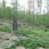 Photo of Mobile Home Lot