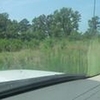 Photo of Mobile Home Lot