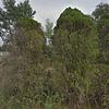 Mobile Home for Sale: 3 Bed 2 Bath 1977 Mobile Home