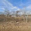 Mobile Home for Sale: 4 Bed 2 Bath 2015 Mobile Home