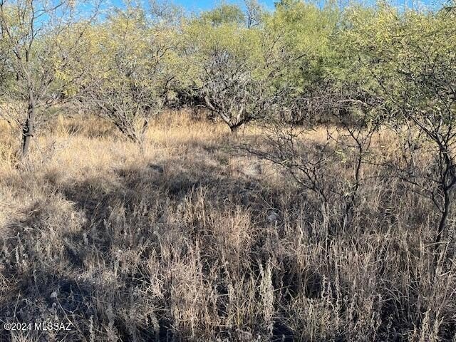 Photo of Mobile Home Lot