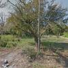 Mobile Home for Sale: 3 Bed 2 Bath 2021 Mobile Home