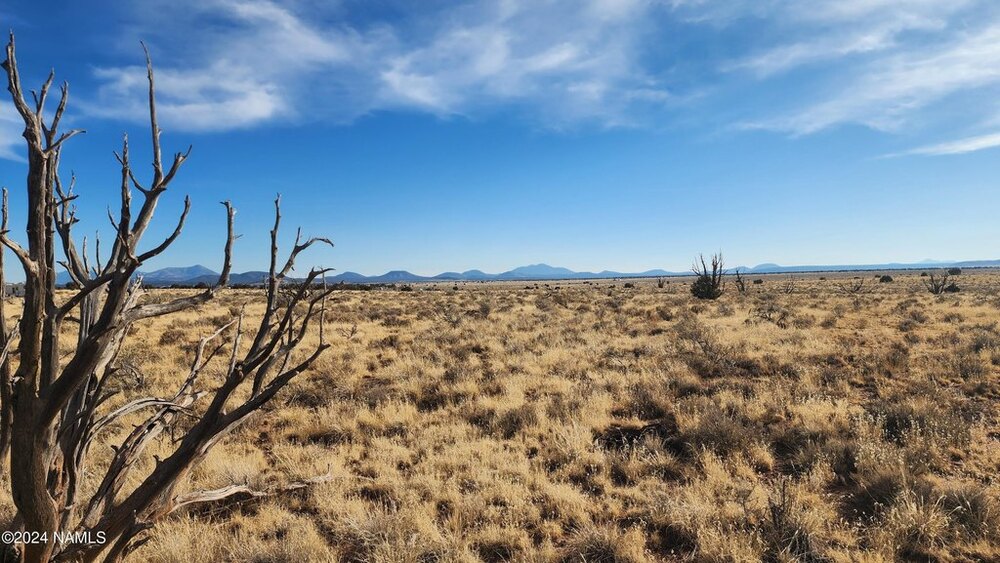 Photo of Mobile Home Lot