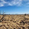 Photo of Mobile Home Lot