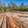 Photo of Mobile Home Lot