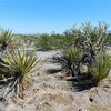 Photo of Mobile Home Lot