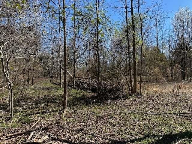 Photo of Mobile Home Lot