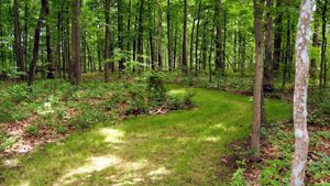 Photo of RV Park/Campground